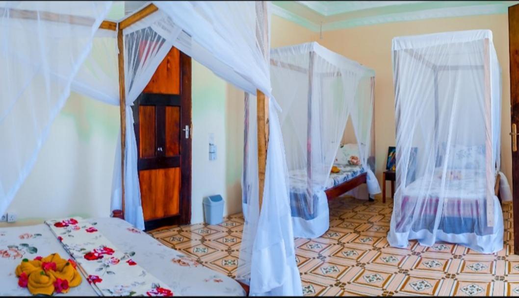 Hotell Saba House 24 *